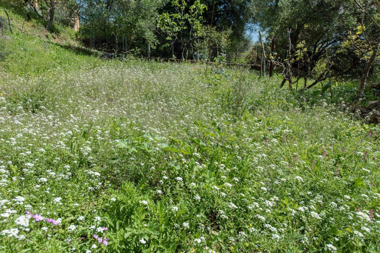 Lily'S House Villa Áno Korakiána Dış mekan fotoğraf